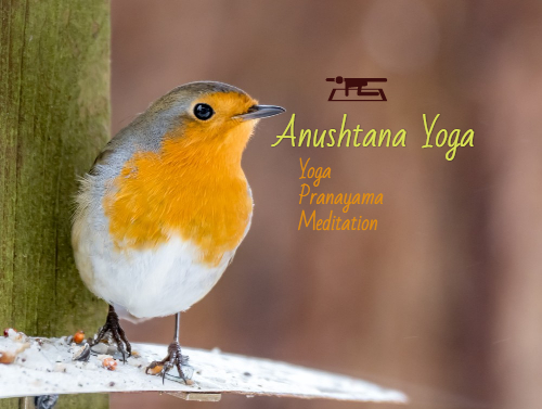 Anushtana Yoga & Meditation - Saturday, Jan 20, 2018